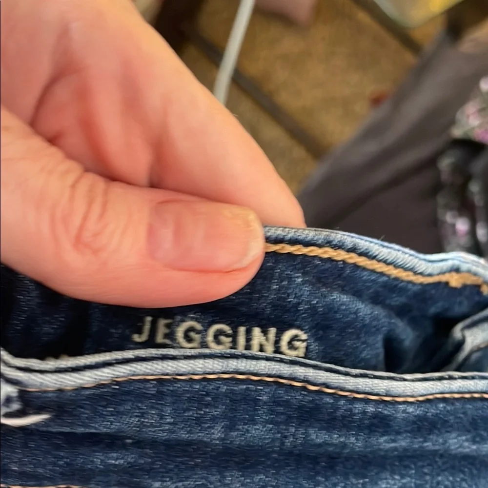 American Eagle Outfitters Blue Distressed Skinny Jeans